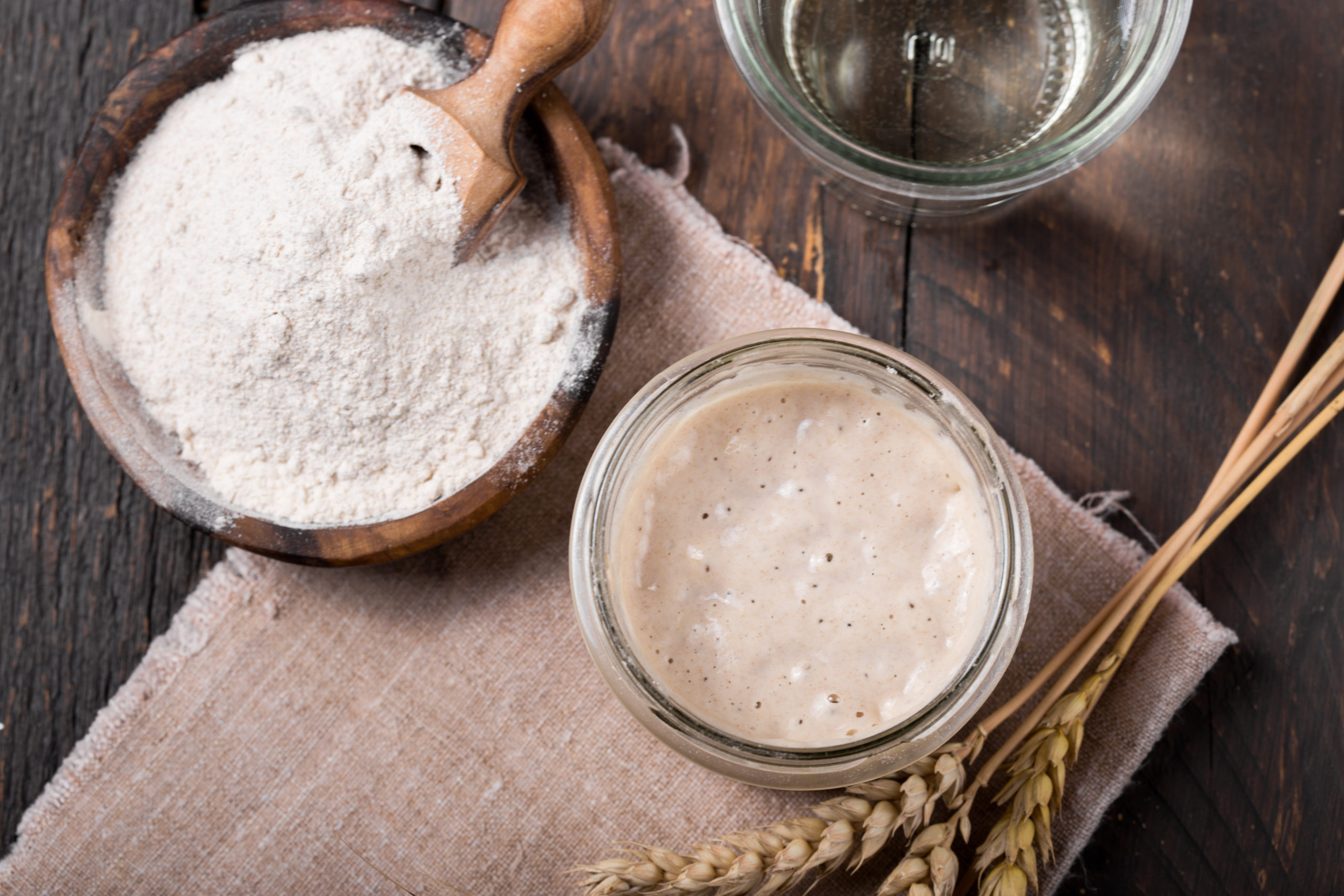 Sourdough Starter