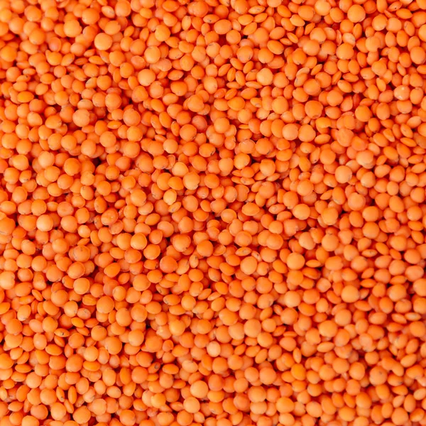 Lentils