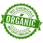 Organic Food Icon