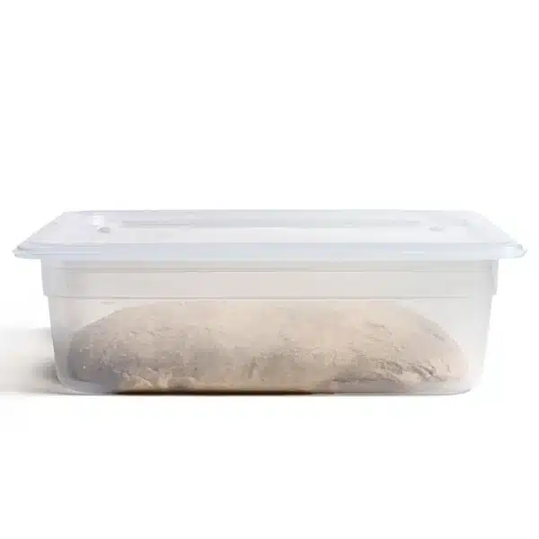 Plastic Dough Box